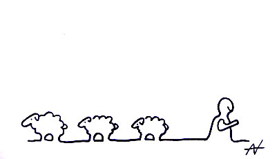 Herd Herd